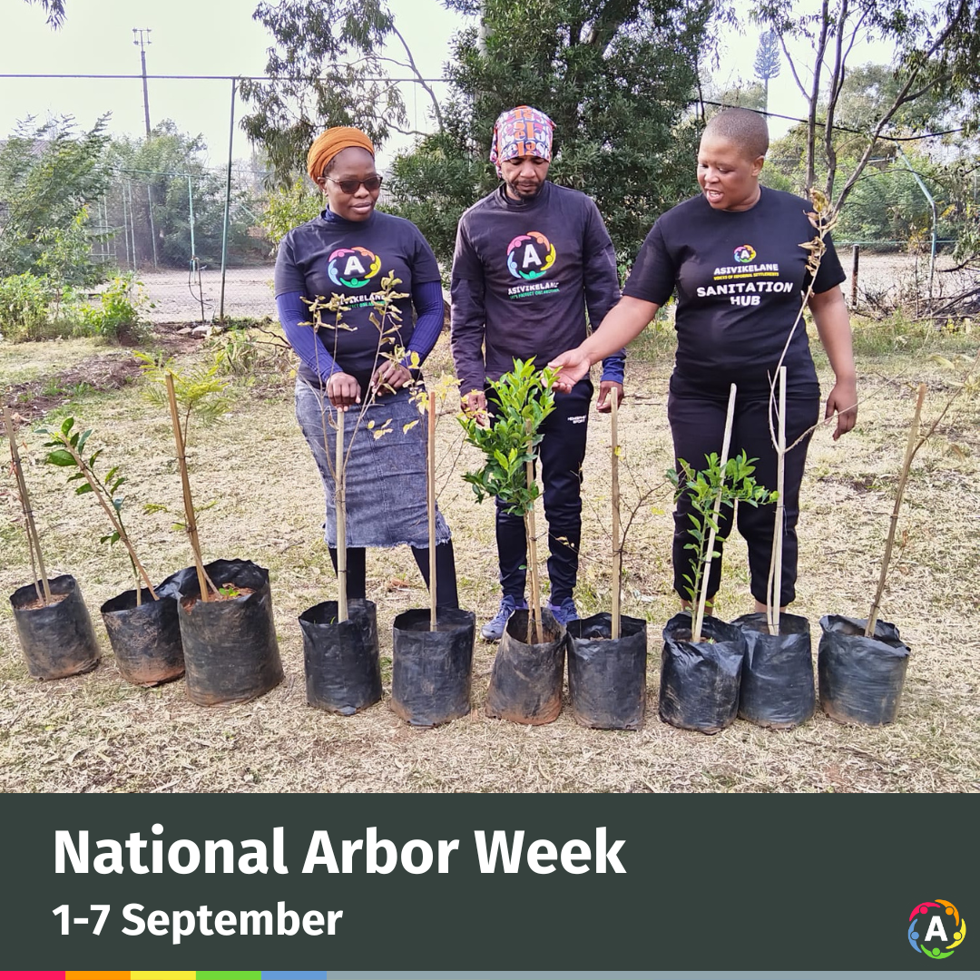 2026-09-01 National Arbor Week (1)